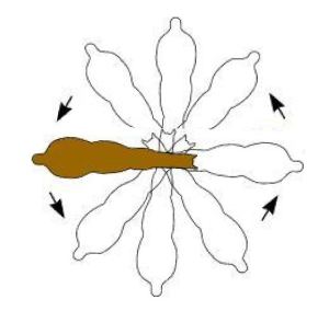 framdelsvändning 360