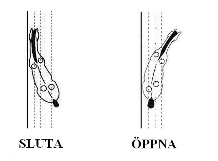 öppna sluta