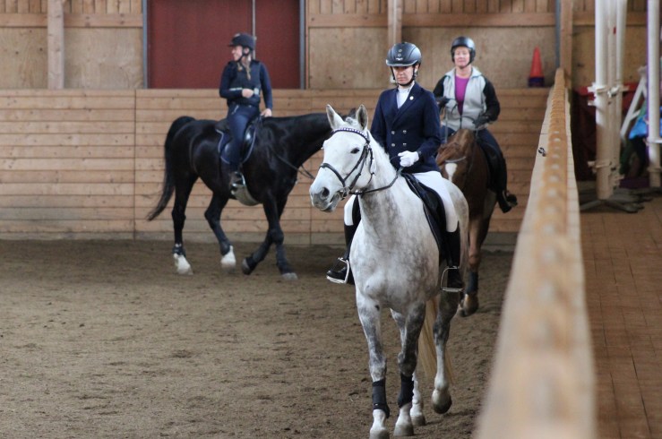 ryttarlivet 100 fokus