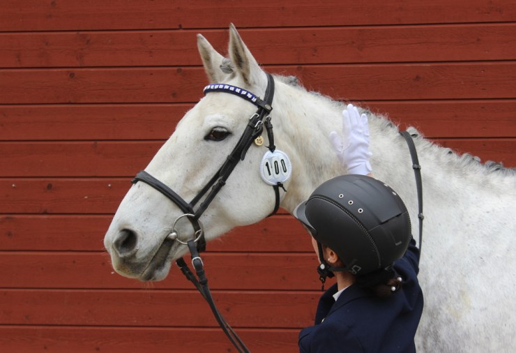 ryttarlivet isabella tasset 5