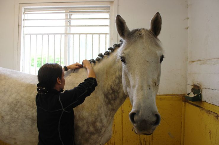 ryttarlivet knoppa man 2