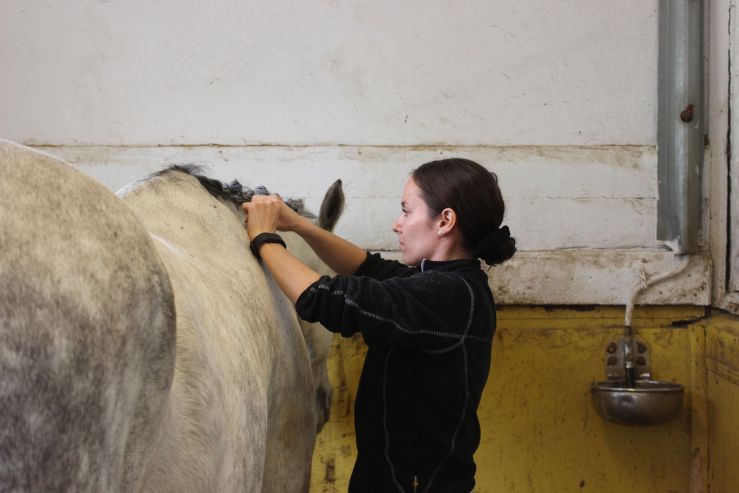 ryttarlivet knoppa man