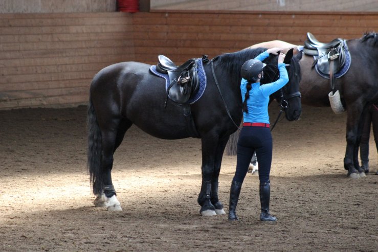 ryttarlivet marolien 1