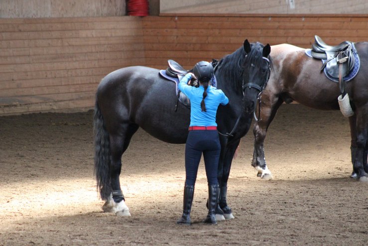 ryttarlivet marolien 2