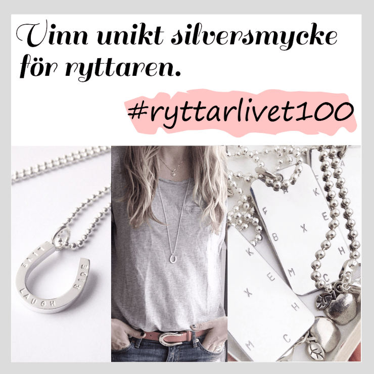 ryttarlivet smycke top gray.png